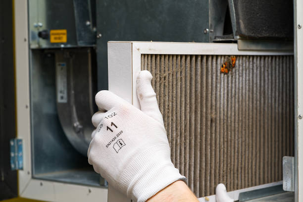 Best Air Vent Cleaning Services  in Williamsport, IN