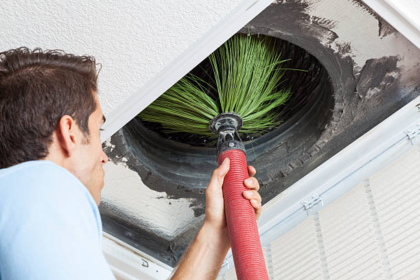 Best Local Air Duct Cleaning Services  in Williamsport, IN