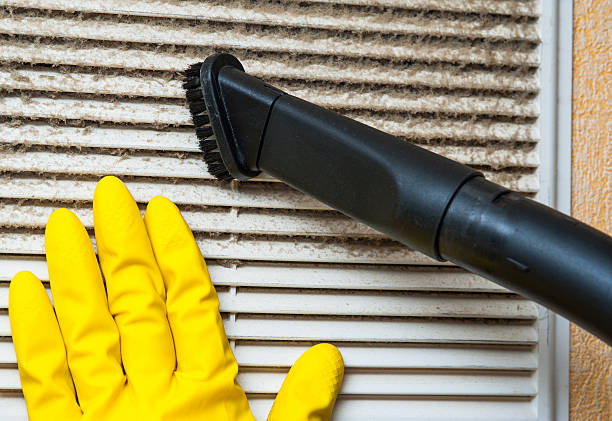 Best Dryer Vent Cleaning Services  in Williamsport, IN